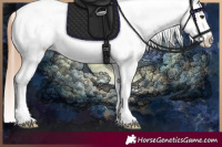 Horse Color:White Spotted Red Dun Blanket 