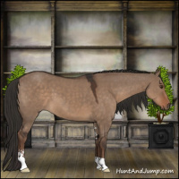 Horse Color:Liver Red Dun Sabino 