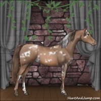 Horse Color:White Spotted Black Pearl Sabino 