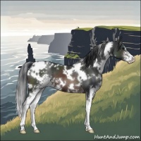 Horse Color:White Spotted Brown Sabino 