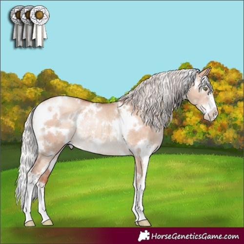 Horse Color:White Spotted Silver Sable Champagne Dun Sabino Rabicano 