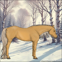 Horse Color:Palomino 