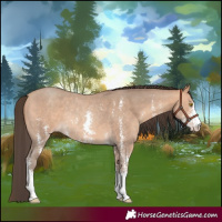 Horse Color:Amber Champagne Sabino Rabicano 