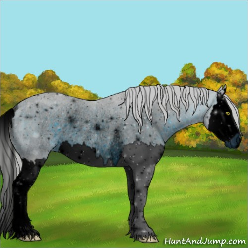 Horse Color:ERROR: UNKNOWN ANOMALY