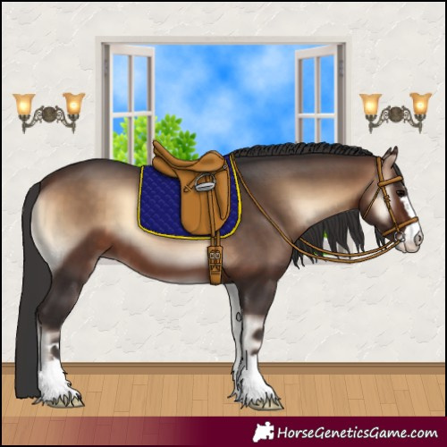 Horse Color:Brown Onyx 