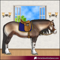 Horse Color:Brown Onyx 