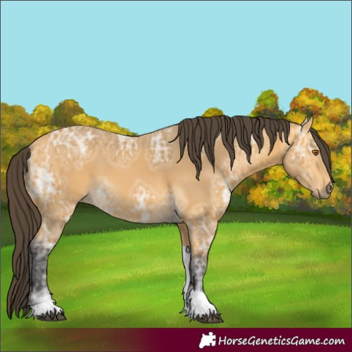 Horse Color:Buckskin Ice Tobiano 