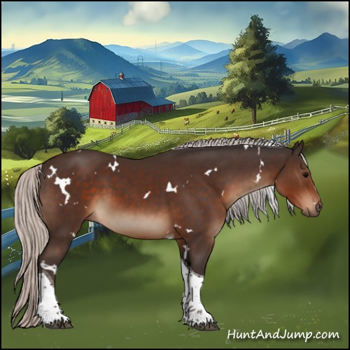 Horse Color:White Spotted Silver Brown Tobiano 
