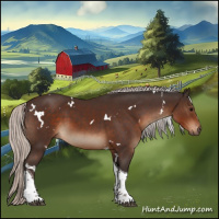 Horse Color:White Spotted Silver Brown Tobiano