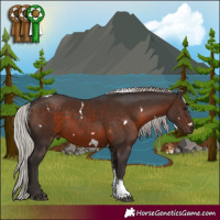 Horse Color:White Spotted Silver Brown Tobiano 