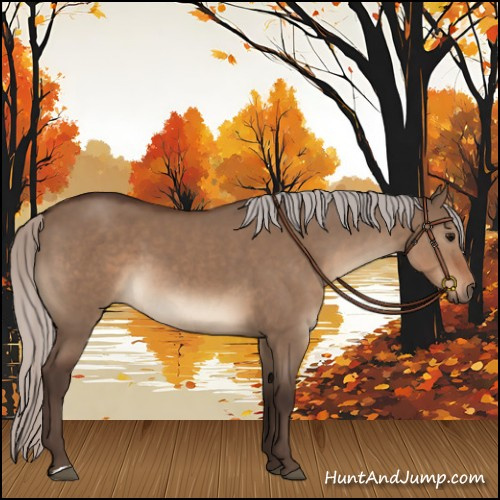 Horse Color:Silver Brown Dun