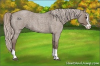 Horse Color:Silver Grullo Roan Splash