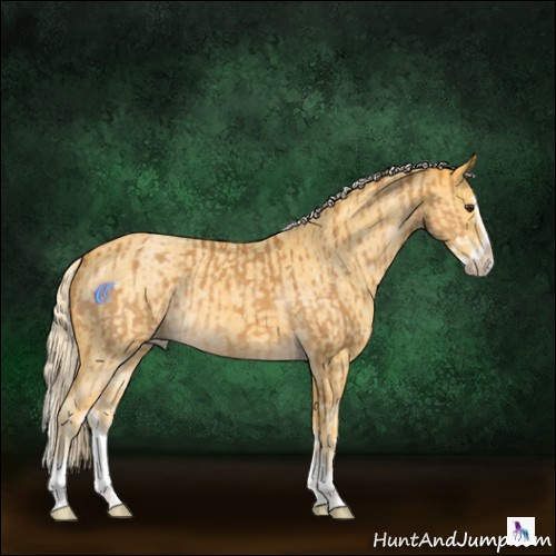 Horse Color:Palomino Roan Splash and Painted Palomino Roan Splash