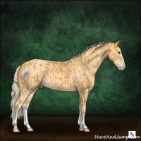 Horse Color:Palomino Roan Splash and Painted Palomino Roan Splash