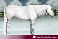 Horse Color:Silver Brown Dun Near Leopard 
