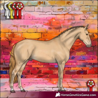 Horse Color:Red Dun 
