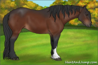 Horse Color:Brown 