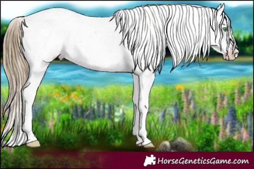 Horse Color:Smoky Black Pearl Sabino