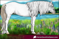 Horse Color:Smoky Black Pearl Sabino