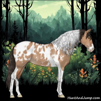 Horse Color:Brown Dun Sabino Tobiano Near Leopard