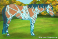 Horse Color:Thunderstruck Bay Sabino 