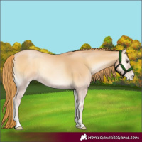 Horse Color:Red Onyx Pearl 
