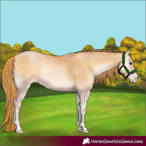 Horse Color:Red Onyx Pearl 