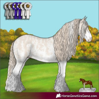 Horse Color:Smoky Creme Sabino  and Smoky Creme Sabino 