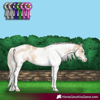 Horse Color:White Spotted Cremello Sabino
