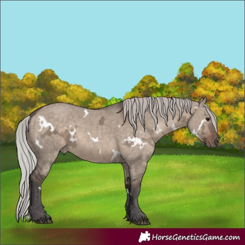 Horse Color:White Spotted Silver Brown Ice Dun 