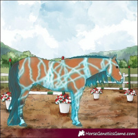 Horse Color:Thunderstruck Bay 