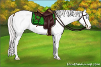 Horse Color:Platinum Perlino Roan Dun 