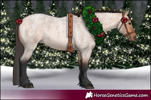 Horse Color:Bay Roan Dun 