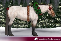 Horse Color:Bay Roan Dun 