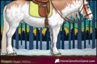 Horse Color:White Spotted Gold Champagne Rabicano 