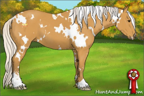 Horse Color:White Spotted Silver Buckskin Sabino