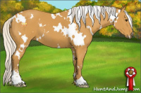 Horse Color:White Spotted Silver Buckskin Sabino