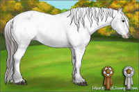 Horse Color:Black Appaloosa Rabicano 