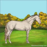 Horse Color:Smoky Creme Dun Sabino Rabicano 