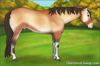 Horse Color:Bay Onyx Tobiano Varnish
