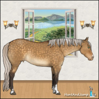 Horse Color:Silver Buckskin Dun Sabino Varnish 