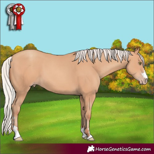 Horse Color:Silver Amber Champagne