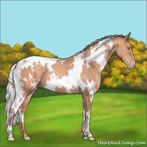 Horse Color:White Spotted Silver Amber Champagne 