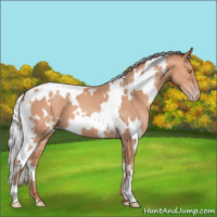 Horse Color:White Spotted Silver Amber Champagne 