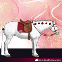 Horse Color:Watercolor White Spotted Silver Black Splash Appaloosa 
