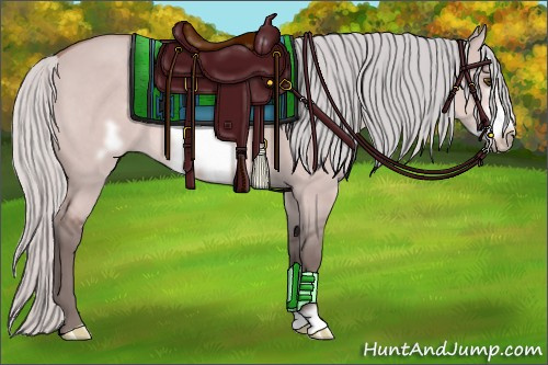 Horse Color:Platinum Silver Bay Dun Frame 