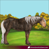 Horse Color:Void Silver Bay Roan Dun 