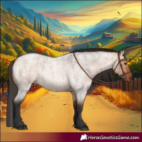 Horse Color:Bay Roan Dun 