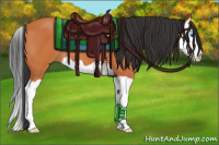 Horse Color:Bay Splash 