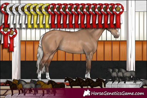 Horse Color:Silver Brown Dun Rabicano